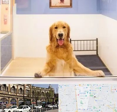 پانسیون حیوان خانگی در منطقه 11 تهران 