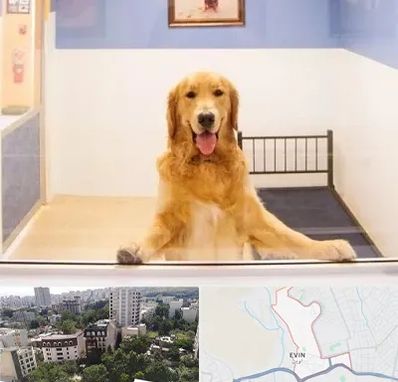 پانسیون حیوان خانگی در اوین