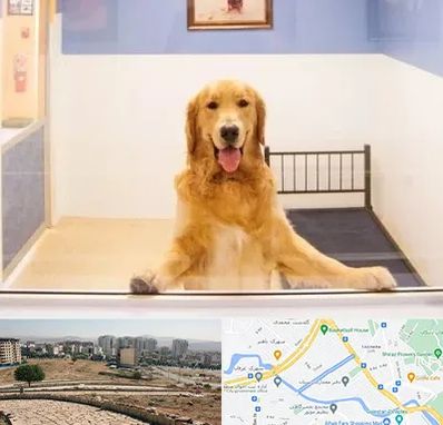 پانسیون حیوان خانگی در کوی وحدت شیراز