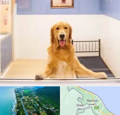 پانسیون حیوان خانگی در رامسر