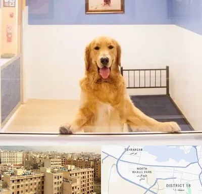 پانسیون حیوان خانگی در جنوب غرب تهران