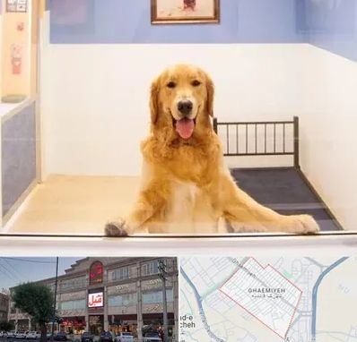 پانسیون حیوان خانگی در قائمیه اسلامشهر