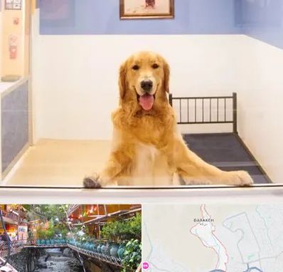 پانسیون حیوان خانگی در درکه