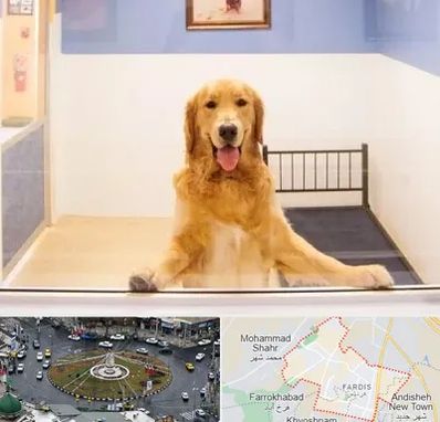 پانسیون حیوان خانگی در فردیس کرج 