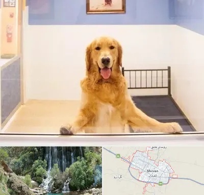 پانسیون حیوان خانگی در شیروان