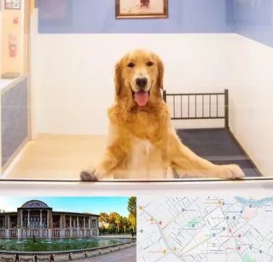 پانسیون حیوان خانگی در عفیف آباد شیراز