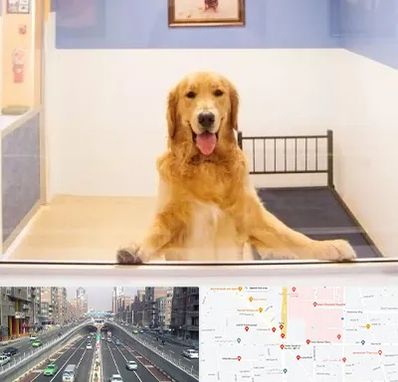 پانسیون حیوان خانگی در توحید 