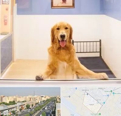 پانسیون حیوان خانگی در کیانمهر کرج