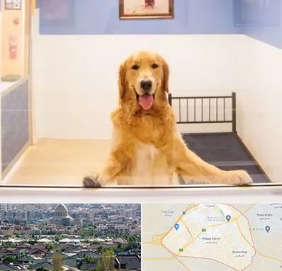 پانسیون حیوان خانگی در رباط کریم