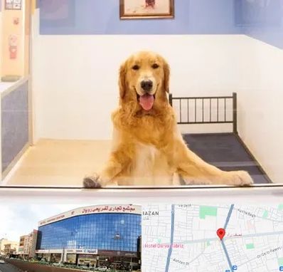 پانسیون حیوان خانگی در نصف راه تبریز