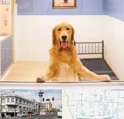 پانسیون حیوان خانگی در 17شهریور