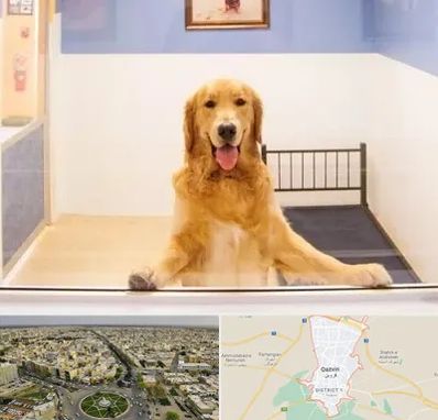 پانسیون حیوان خانگی در قزوین