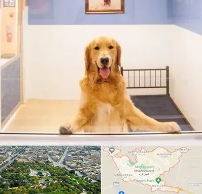 پانسیون حیوان خانگی در شهرکرد