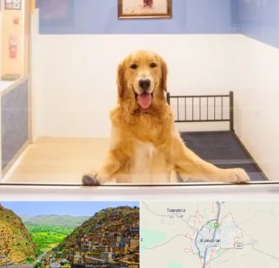 پانسیون حیوان خانگی در کامیاران