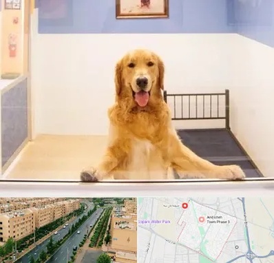 پانسیون حیوان خانگی در فاز سه اندیشه
