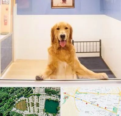 پانسیون حیوان خانگی در وکیل آباد مشهد