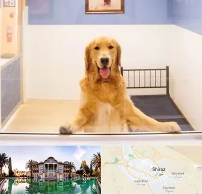 پانسیون حیوان خانگی در شیراز