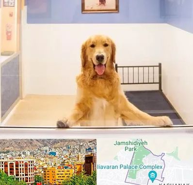 پانسیون حیوان خانگی در نیاوران 