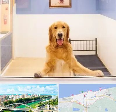 پانسیون حیوان خانگی در بابلسر