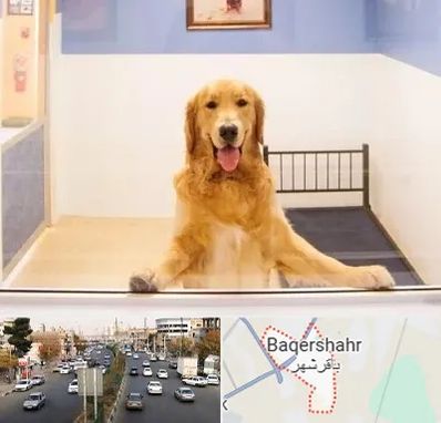 پانسیون حیوان خانگی در باقرشهر