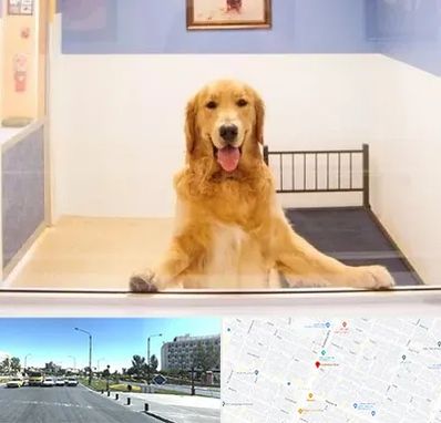 پانسیون حیوان خانگی در بلوار کلاهدوز مشهد