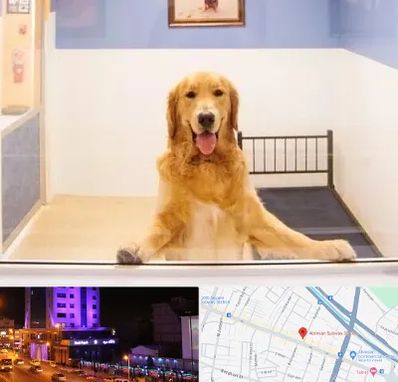 پانسیون حیوان خانگی در آبرسان تبریز