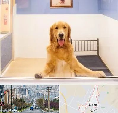 پانسیون حیوان خانگی در گوهردشت کرج 