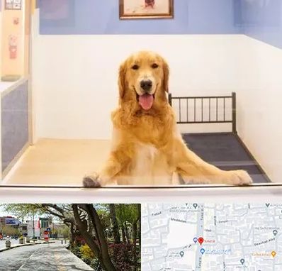 پانسیون حیوان خانگی در خیابان توحید اصفهان