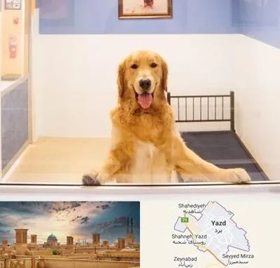 پانسیون حیوان خانگی در یزد
