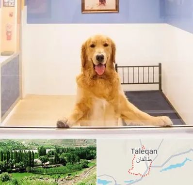 پانسیون حیوان خانگی در طالقان