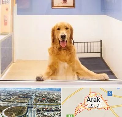 پانسیون حیوان خانگی در اراک