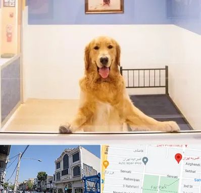 پانسیون حیوان خانگی در افسریه 