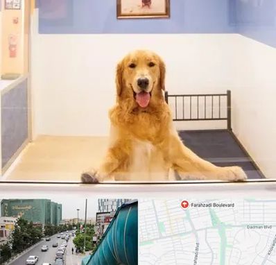 پانسیون حیوان خانگی در بلوار فرحزادی