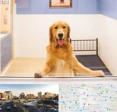 پانسیون حیوان خانگی در منطقه 7 تهران 