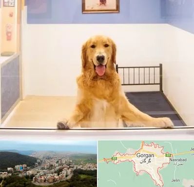 پانسیون حیوان خانگی در گرگان