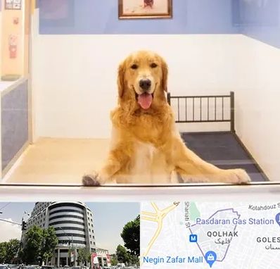 پانسیون حیوان خانگی در قلهک 