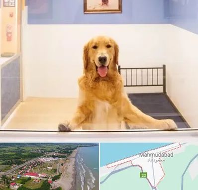 پانسیون حیوان خانگی در محمودآباد