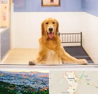 پانسیون حیوان خانگی در سنندج