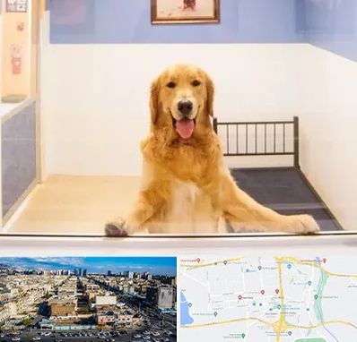 پانسیون حیوان خانگی در شهرک راه آهن