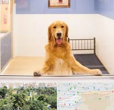 پانسیون حیوان خانگی در منطقه 13 تهران 