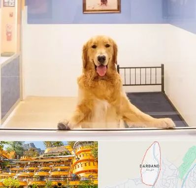 پانسیون حیوان خانگی در دربند