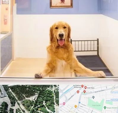 پانسیون حیوان خانگی در سالاریه قم