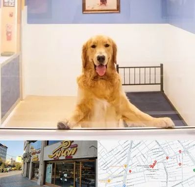 پانسیون حیوان خانگی در عطاران قم