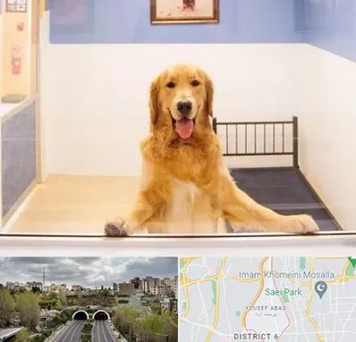 پانسیون حیوان خانگی در یوسف آباد 
