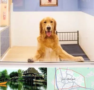 پانسیون حیوان خانگی در صومعه سرا