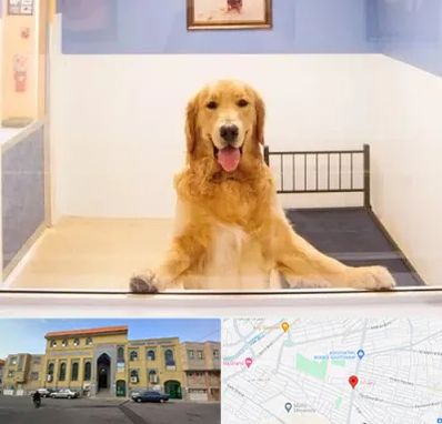 پانسیون حیوان خانگی در زنبیل آباد قم