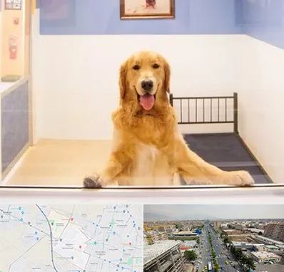 پانسیون حیوان خانگی در حصارک کرج