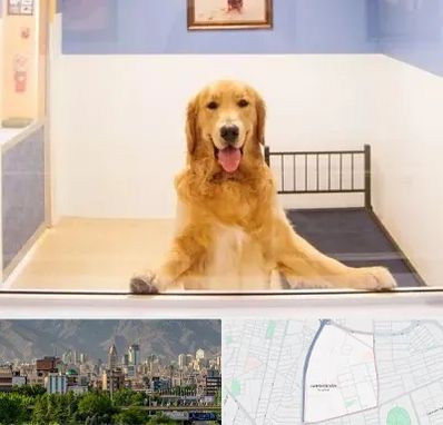 پانسیون حیوان خانگی در جمشیدیه