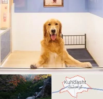 پانسیون حیوان خانگی در کوهدشت