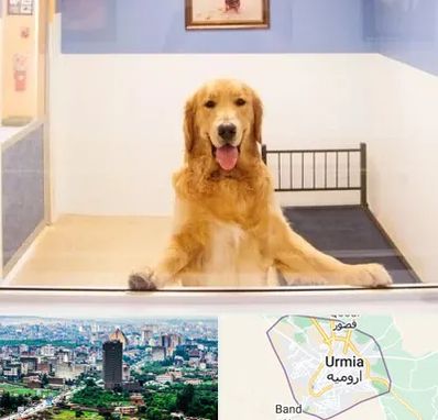 پانسیون حیوان خانگی در ارومیه